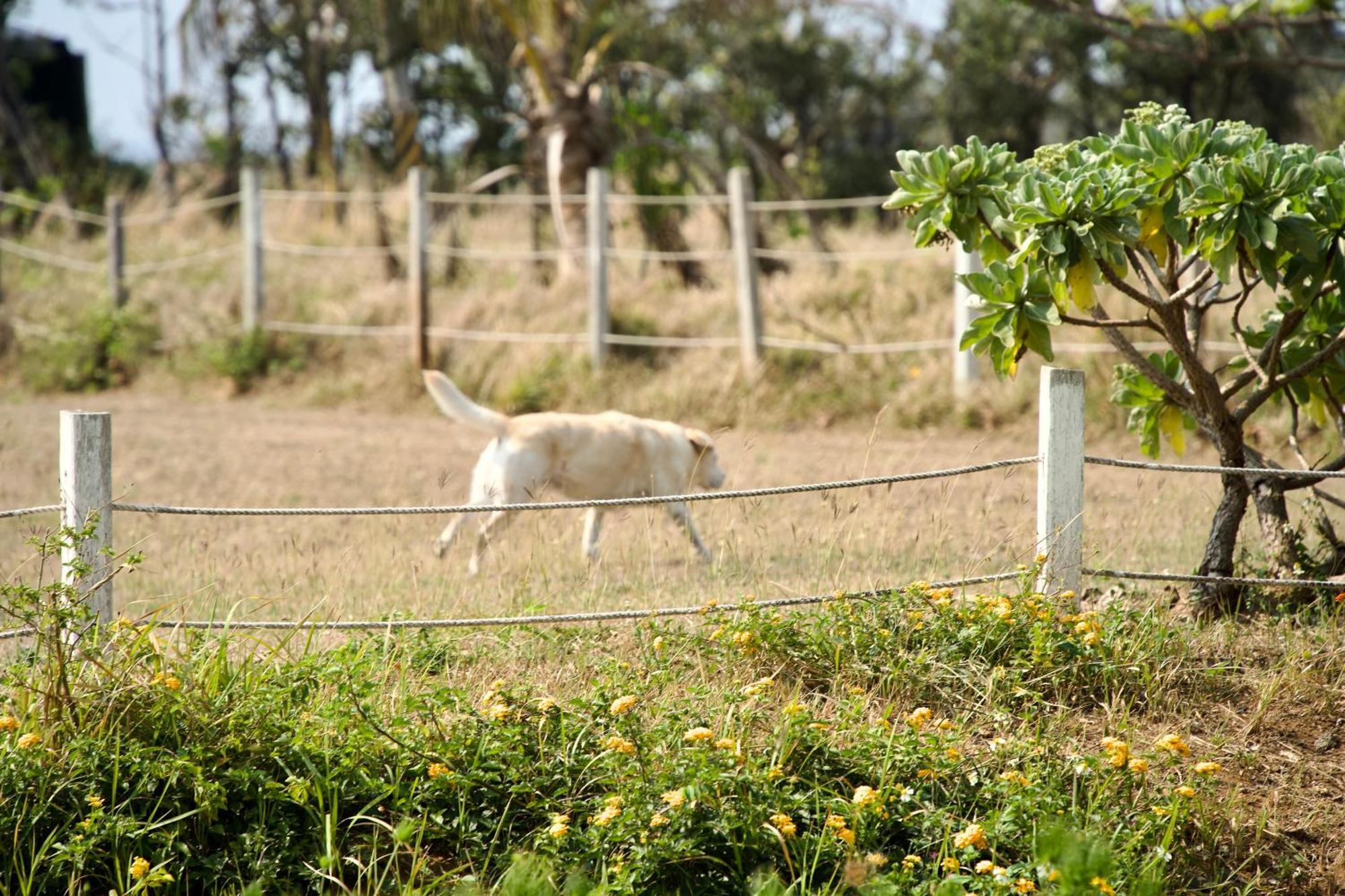 Kenting Comic B&B&Spring Heng-ch'un Kültér fotó