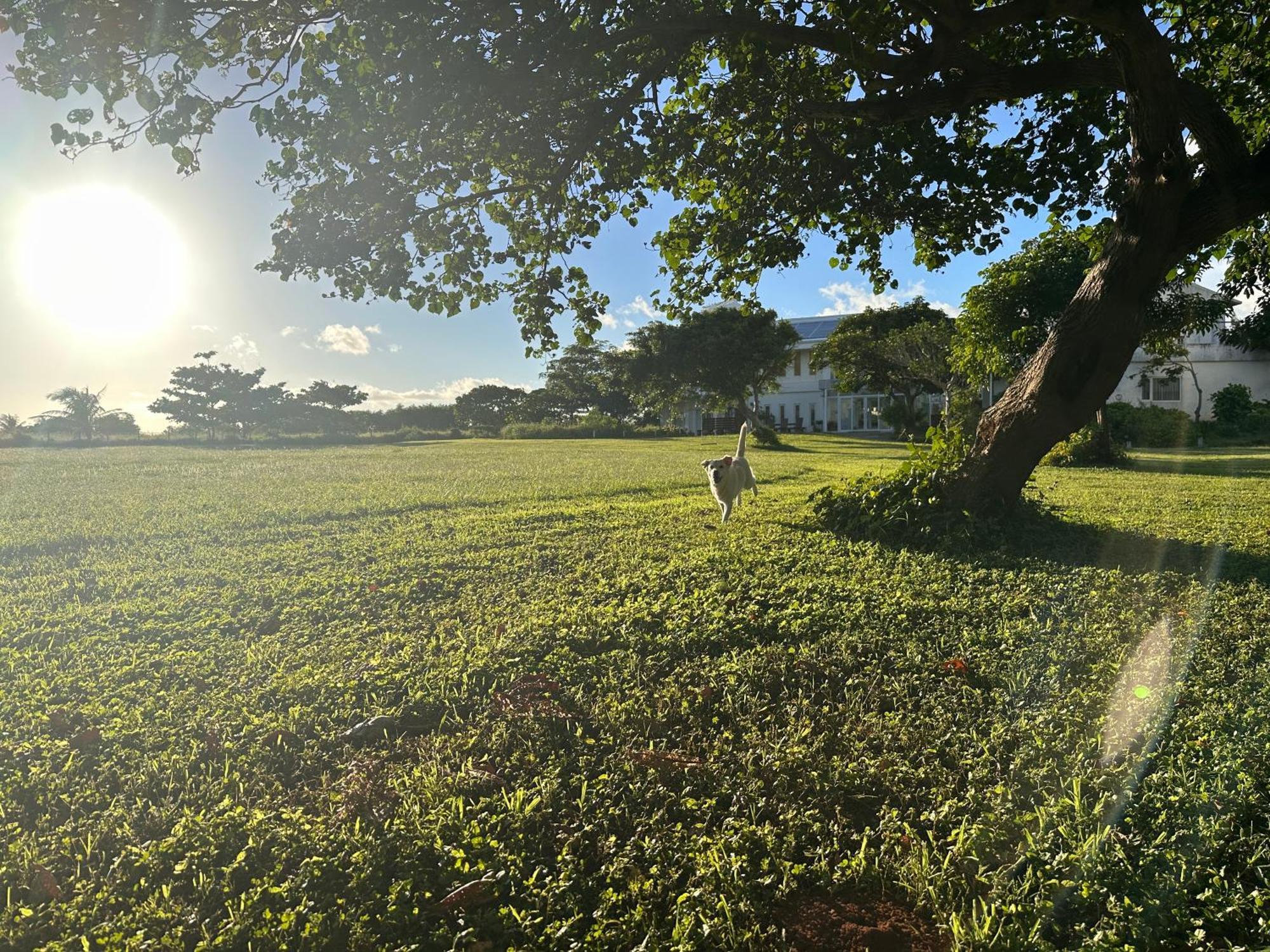 Kenting Comic B&B&Spring Heng-ch'un Kültér fotó